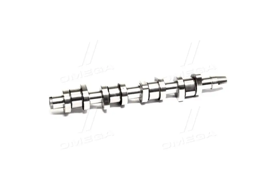 Розподільчий вал ((EN) cast iron) AUDI A3, A4 B7 SEAT ALHAMBRA, ALTEA, ALTEA XL, CORDOBA, IBIZA III, IBIZA IV, IBIZA IV SC, LEON, TOLEDO III SKODA FABIA II, OCTAVIA II 1.9D/2.0D 03.00-05.11 AE CAM904 (фото 1)