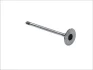 Впускний клапан (31,1x6x103,1) OPEL ASTRA F, ASTRA F CLASSIC, ASTRA G, ASTRA G CLASSIC, ASTRA H, CORSA B, CORSA C, MERIVA A, TIGRA, VECTRA B, VECTRA C, VECTRA C GTS 1.4/1.4LPG/1.6 03.93-10.10 AE V91995 (фото 2)