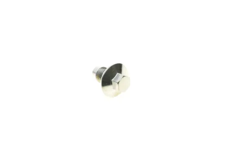 Болт зливу оливи Ford Transit 2.0/2.4/2.2 00- (M14x1.5) AIC 58308