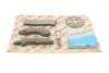 Комплект ланцюга ГРМ BMW 3 (F30)/4 (F32/F82)/5 (F10) 07- N47 D20C (зверху) AIC 59010Set (фото 2)