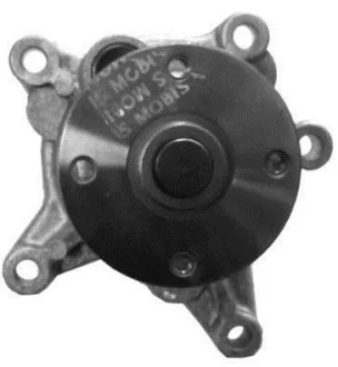 Насос охолоджуючої рідини, з ущільненням HYUNDAI ACCENT IV, CRETA, ELANTRA IV, ELANTRA V, ELANTRA VI, ELANTRA VII, I20 I, I30, I40 I, I40 I CW, IX20, IX35, KONA, SOLARIS, TUCSON 1.2-2.0 04.04- AISIN WPY025
