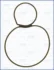 Прокладка клапанної кришки Opel Astra H / Zafira B / Corsa D / Meriva A 1.6 / 1.8 04–14 AJUSA 01171700 (фото 1)