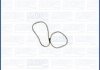 Комплект прокладок Master/Movano 2.0 DCI/CDTI 06- (нижній) 54155400