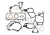 Комплект прокладок Movano/Master 3.0 DTI/dCi 03- (нижний) 54156300