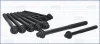 Комплект болтів ГБЦ Fiat Ducato 2.3 d/JTD 01-/ Peugeot Boxer 2.3 HDi 07-/ Iveco Daily 99- (M14/L191 AJUSA 81033800 (фото 1)