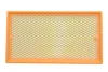 Фільтр повітряний Ford Connect 1.8 16V/TDCi 02-13/Focus 1.4-2.0 16V/1.8TDCi 98-04/Fiesta 1.8TDI 00-02 (з сіткою) ALPHA FILTER AF1616s (фото 1)