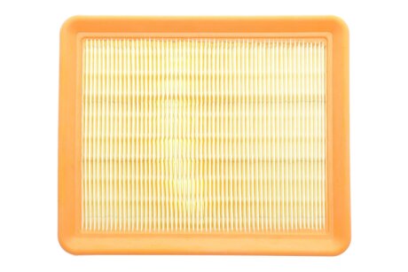 Фільтр повітряний Peugeot Partner 2.0 HDI 03- ALPHA FILTER AF1631