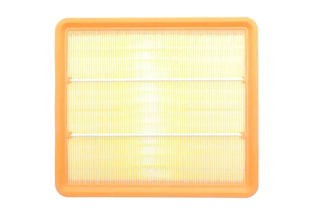 Фільтр повітряний Chevrolet Evanda 2.0i 16V 02-/Epica 2.0/2.0-2.5 24V 05-11/Chery Easter 1.8-2.4 06- ALPHA FILTER AF1675