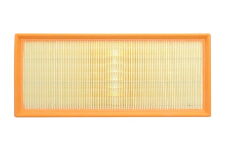 Фільтр повітряний Citroen C8 2.0-2.2HDi/Jumpy/Peugeot Expert 2.0HDi/Fiat Scudo 2.0D/JTD 06- ALPHA FILTER AF1819