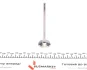 Клапан (випуск) Chevrolet Aveo/Kalos/Spark/Daewoo Matiz/Tico 0.8--1-2 (31.8x5.5x110.3) (азотований) AMP PCHE002-B-0-N (фото 5)