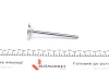 Клапан (впуск) Fiat Scudo/Peugeot Expert 1.4/1.6 89-00 (37.5x8x108.5) (вальцювання) AMP PFIA013-S-0-D (фото 3)