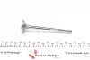 Клапан (впуск) Opel Astra F/G/Vectra A 1.6D/1.7D 82-00 (36x8x123.2) (вальцювання) AMP POPE009-S-0-D (фото 3)