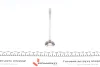 Клапан (випуск) Renault Clio/Kangoo/Twingo 1.2 96- (29.9x6x106.8) (вальцювання) AMP PREN027-A-0-D (фото 5)