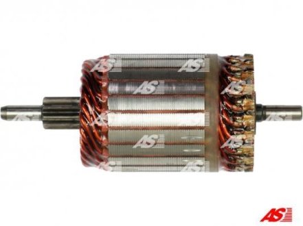 Якір стартера (12V) Fiat Doblo 1.3 D Multijet 10-/Opel Combo 1.3 CDTI 04- -PL AS SA3024 (фото 1)