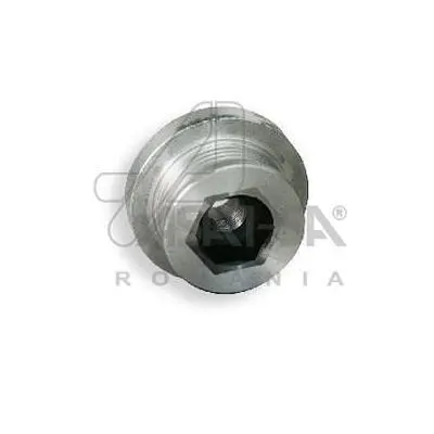 Шків генератора 1.5dCi Kangoo/Clio 01-/Logan 06- ASAM 30316 (фото 1)