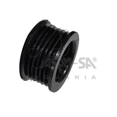 Шків генератора SANDERO/LOGAN/MEGANE/CLIO II/LAGUNA II ASAM 30606 (фото 1)