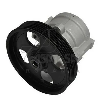 Насос гідропідсилювача Kangoo/Duster/Megane 1.4-1.6 96- ASAM 30619 (фото 1)