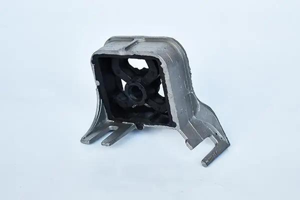 Кронштейн кріплення глушника Kangoo 1.5 dCi 01- ASAM 55889 (фото 1)