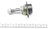 Опора кульова (передня) BMW 5 (E60) 04-10 ASMETAL 10BM1100 (фото 3)