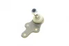 Опора кульова (передня/знизу) Ford Focus II 1.4-2.0TDCi 04-12/C-Max 07-10/Volvo C30/C70/S40 04- ASMETAL 10FR1706 (фото 6)