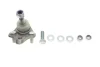 Опора кульова (передня/знизу) Toyota Corolla/Rav 4/Prius 92-06 ASMETAL 10TY0206 (фото 1)