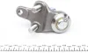 Опора кульова (передня/знизу) Lexus RX 98-03/Toyota Camry -01 ASMETAL 10TY1000 (фото 3)