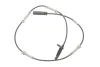 Датчик ABS (задній) BMW 5 (G30)/7 (G11/G12) 15- B47/B48/B57/B58/N63 ATE 24.0711-5596.3 (фото 1)