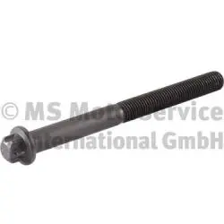 Болт голівки циліндра DEUTZ FAHR 9290 TTV, 9310 TTV, 9340 TTV, X 710, X 720, X 730 RVI 160.08, 160.09, 160.10, 160.12, 180.08, 180.10, 180.12, 180.13, 180.14, 190.08, 190.09, 190.10, 190.12 BF 20 0805 20139 (фото 1)