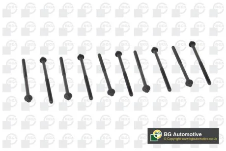 Болти головки блоку Citroen Berlingo/Nemo / Peugeot Bipper/Partner 1.1-1.4 i 96- (к-кт/10 шт.) BGA BK6364