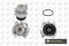 Водяний насос Caddy II/Golf IV/Octavia 1.9SDI/TDI 95-06 (19z) BGA CP18756 (фото 1)