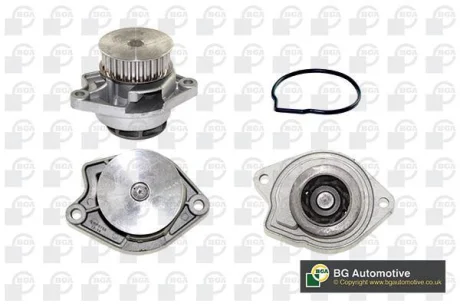 Водяний насос Caddy II/Caddy III/Octavia/Golf IV/V/Fabia/Polo 1.4i/2.0TDI 98- BGA CP3162