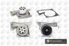 Водяний насос 1.5dCi Kangoo/Megane 08-/Logan/Duster 10- BGA CP3830 (фото 1)