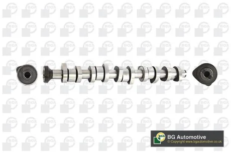 Розподільний вал T5 2.5TDI (AXD/AXE/BLK) 03- BGA CS9650