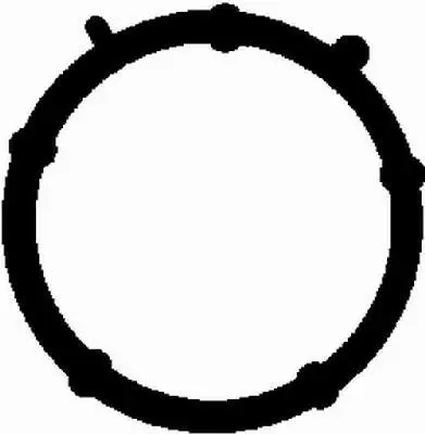 Прокладка колектора впуск Doblo 1.9D (48x45mm) 01- BGA MG2531 (фото 1)