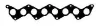 Прокладка колектора впуск Jumper/Boxer 2.5D/TD (DJ5) (420x75mm) 94-02 BGA MG5513 (фото 1)