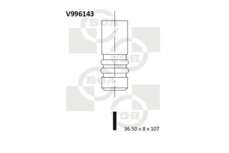 Клапан впуск. Connect 1.8 TDCi 02- BGA V996143