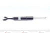 Амортизатор передн лів/прав AUDI A4 B5, A6 C5, ALLROAD C5 SKODA SUPERB I VW PASSAT B5, PASSAT B5.5 1.6-4.2 11.94-03.08 BILSTEIN 19-119939 (фото 5)
