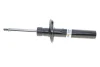 Амортизатор (передній) VW CC 09-17 Passat (3C2) 06-10 Passat (357/365) 12-19 d=55mm (B4) BILSTEIN 22-151056 (фото 1)