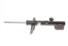 Амортизатор (передній) Toyota RAV4 00-05 (L) (B4) BILSTEIN 22-151094 (фото 9)