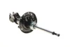 Амортизатор передн лів ABARTH GRANDE PUNTO, PUNTO, PUNTO EVO FIAT GRANDE PUNTO, LINEA, PUNTO, PUNTO EVO OPEL CORSA D 0.9-1.9D 06.05- BILSTEIN 22-158475 (фото 10)