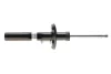Амортизатор (передній) VW Golf VI (5K1) 10.08 - 12.14 (B4) BILSTEIN 22-183712 (фото 1)