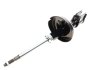 Амортизатор (передний) Renault Clio II 98-06 (B4) BILSTEIN 22-223616 (фото 6)