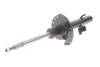 Амортизатор (передній) Land Rover Freelander 2 2.0/2.2D/3.2 06-14 (L) BILSTEIN 22-246547 (фото 4)