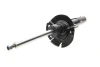 Амортизатор (передній) Ford Focus III 1.0-2.0 12- (L) (B4) BILSTEIN 22-255969 (фото 9)