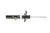 Амортизатор передн прав FORD C-MAX II, FOCUS III, GRAND C-MAX 1.0-Electric 07.10-02.20 BILSTEIN 22-255976 (фото 9)