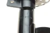Амортизатор передн лів FORD C-MAX II, FOCUS III, GRAND C-MAX 1.0-Electric 04.10-02.20 BILSTEIN 22-256362 (фото 4)