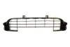 Решітка бампера передн (Нижн/середн) CITROEN C3 I 07.05-12.10 BLIC 5703-05-0519911P (фото 1)