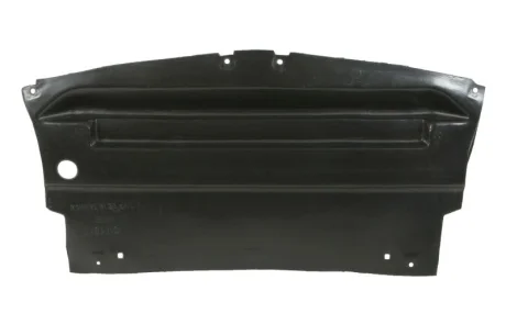 Захист під бампером (termoformowana próżniowo) FORD MUSTANG 09.04-02.09 BLIC 6601-02-2585881P