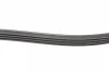 Ремінь генератора Renault Clio/Kangoo 1.4i/1.6 98-03/ Toyota Land Cruiser 4.2 98-07 BLUE PRINT AD04R1240 (фото 2)