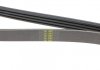 Ремень генератора Renault Clio/Kangoo 1.4i/1.6 98-03/ Toyota Land Cruiser 4.2 98-07 BLUE PRINT AD04R1240 (фото 3)